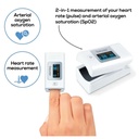 BEURER Medical PULSE OXIMETER - (PO 35)
