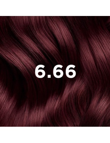 PHYTOCOLOR - 6.66 - Intense Cherry/Red Brown