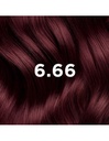 PHYTOCOLOR - 6.66 - Intense Cherry/Red Brown