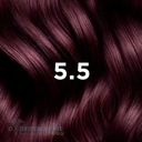 PHYTOCOLOR - 5.5 - Light Mahogany/ Brown