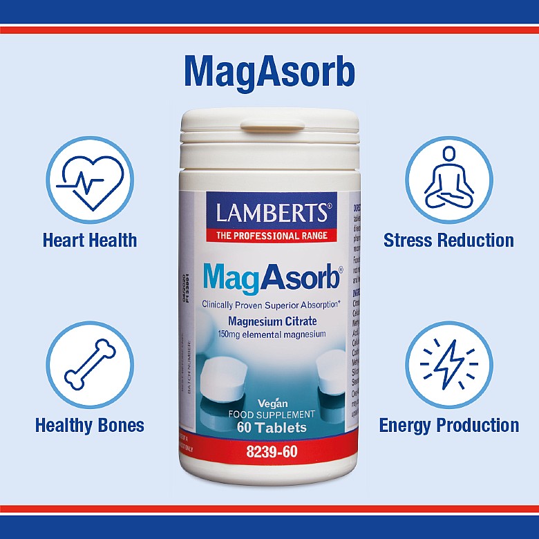 LAMBERTS MagAsorb (Magnesium Citrate Powder) *165g