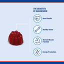 LAMBERTS Magnesium Citrate 150mg *40 GUMMIES