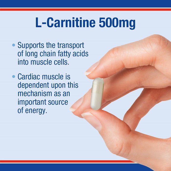 LAMBERTS L-Carnitine 500mg *60 Capsules