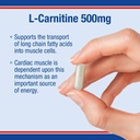 LAMBERTS L-Carnitine 500mg *60 Capsules