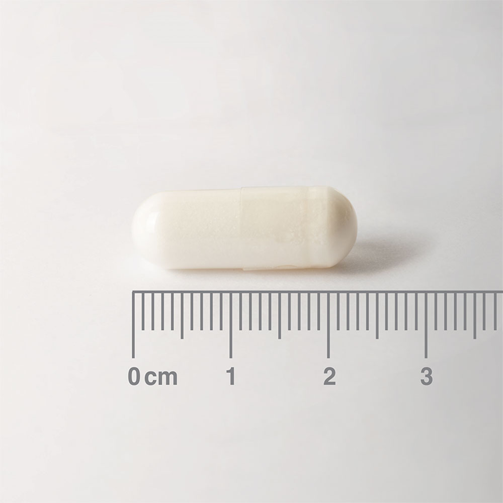 LAMBERTS L-Carnitine 500mg *60 Capsules