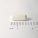 LAMBERTS L-Carnitine 500mg *60 Capsules