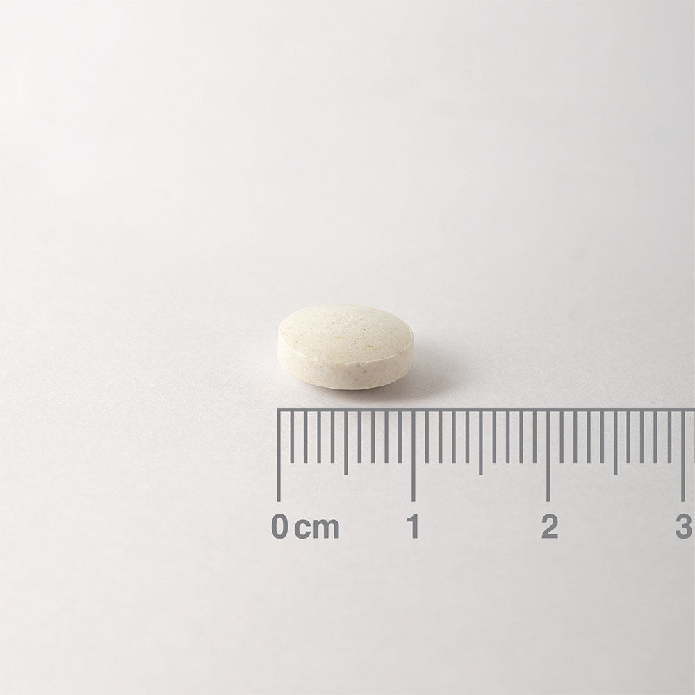 LAMBERTS Iron 14mg *100 tablets