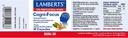 LAMBERTS Cogni Focus *30 Capsule