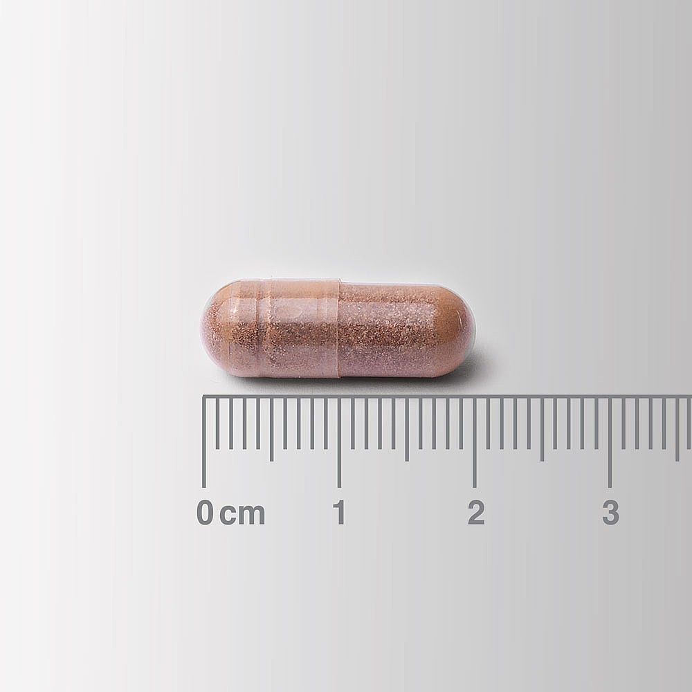 LAMBERTS Cogni Focus *30 Capsule