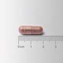 LAMBERTS Cogni Focus *30 Capsule