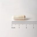 LAMBERTS Biotin 500 mcg *90 capsules