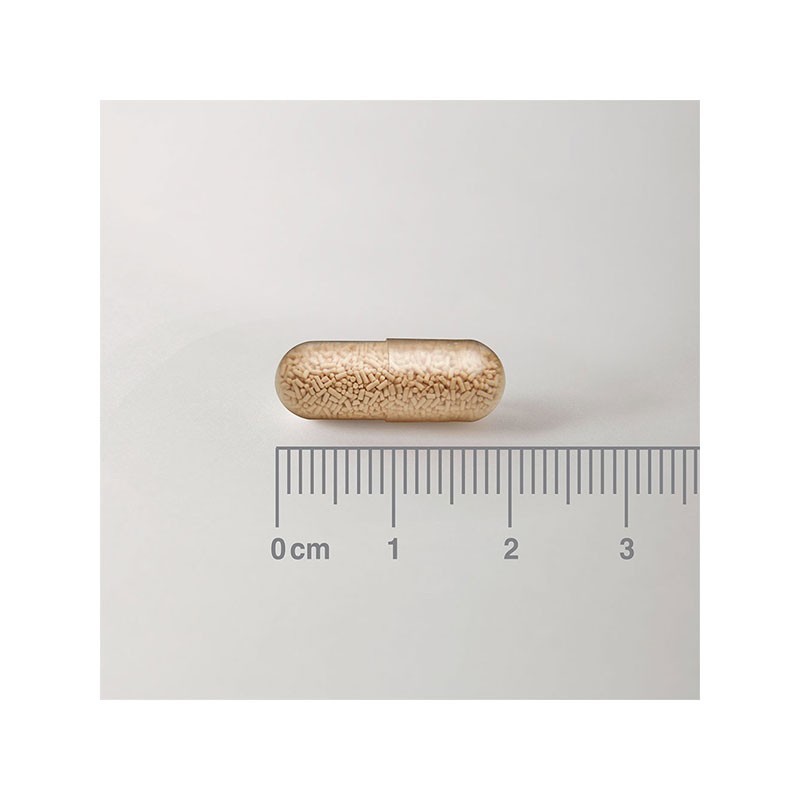 LAMBERTS Biome Balance (for those on Antibiotics) *30 Capsules