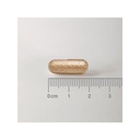 LAMBERTS Biome Balance (for those on Antibiotics) *30 Capsules