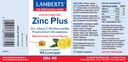 LAMBERTS ZINC Plus - 100 Lozenges