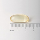 LAMBERTS Pure Fish Oil 1100mg *60 Capsules