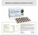 amitamin LIVER + Milk Thistle *120 Capsules