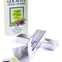 GOLAVIVA (Menta/ Eucalipt/ Pino) *24 cop