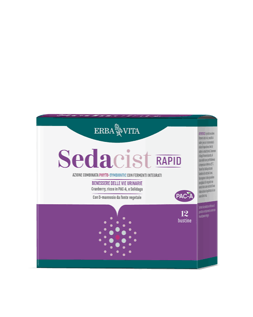 SEDACIST RAPID 12 BUSTA