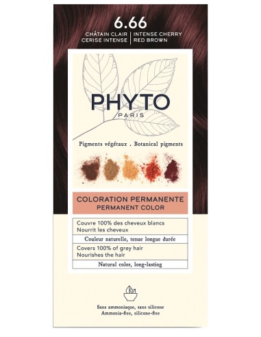 PHYTOCOLOR - 6.66 - Intense Cherry/Red Brown