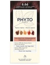 PHYTOCOLOR - 6.66 - Intense Cherry/Red Brown