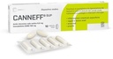 CANNEFF Suppositories (Ac Hyaluronic/ Cannabidiolo CBD) *10 Supp