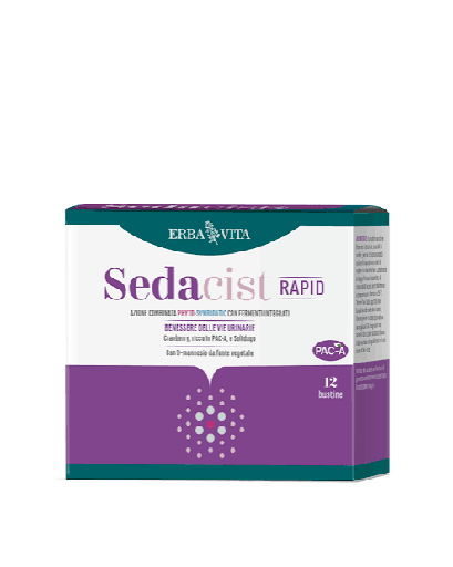 SEDACIST RAPID 12 BUSTA